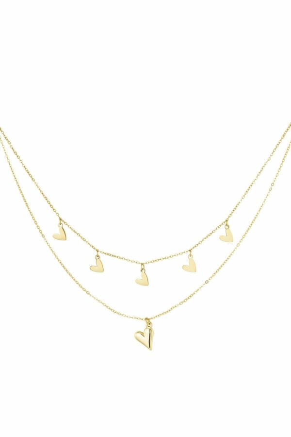 Full of hearts ketting