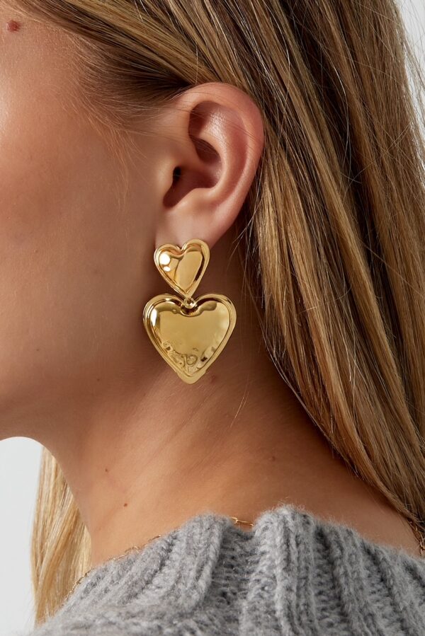 Heart duo oorbellen