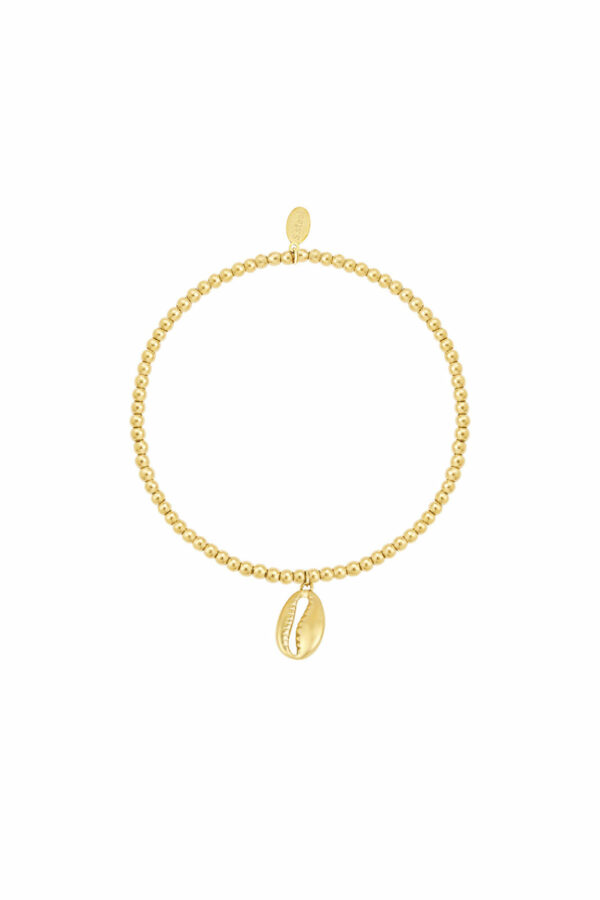 Schelp armband
