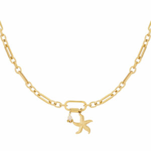Starfish dinner ketting