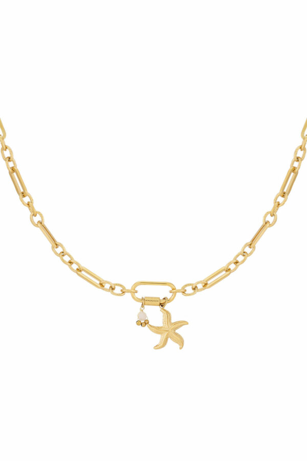 Starfish dinner ketting