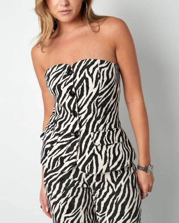 The zebra top